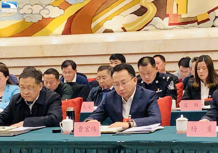 曹宏伟代表建议将榛子黄粱乡村振兴试验区上升为省级战略