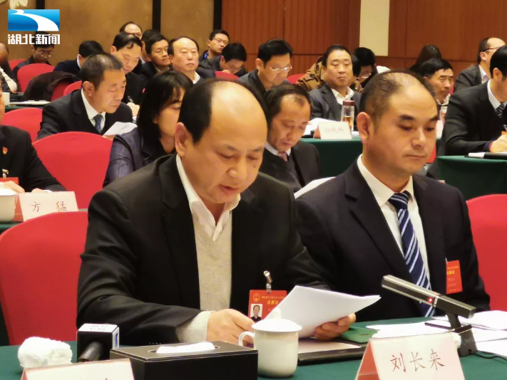 湖北省人大代表刘长来民营龙头企业如何做大做强