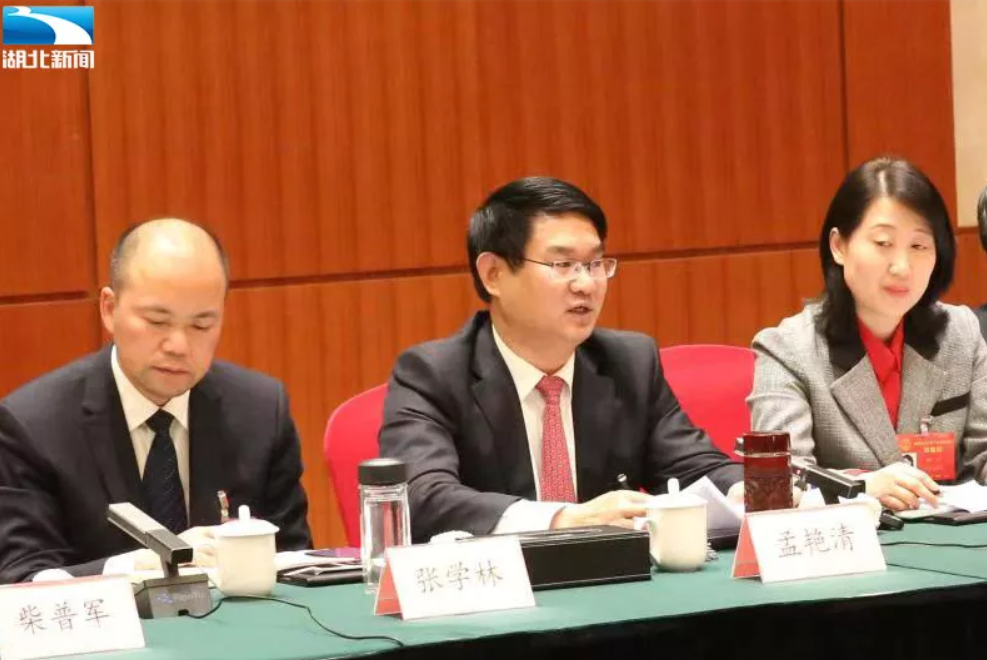 1月12日下午,省人大代表,枣阳市委书记孟艳清在审议省政府政府工作