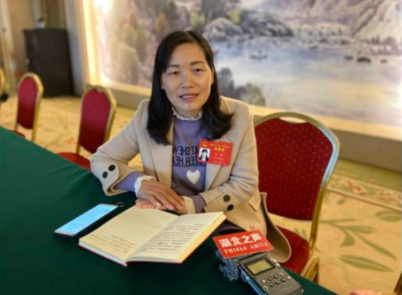 湖北省人大代表新型职业农民洪霞乡村振兴不可忽视高标准农田的提标