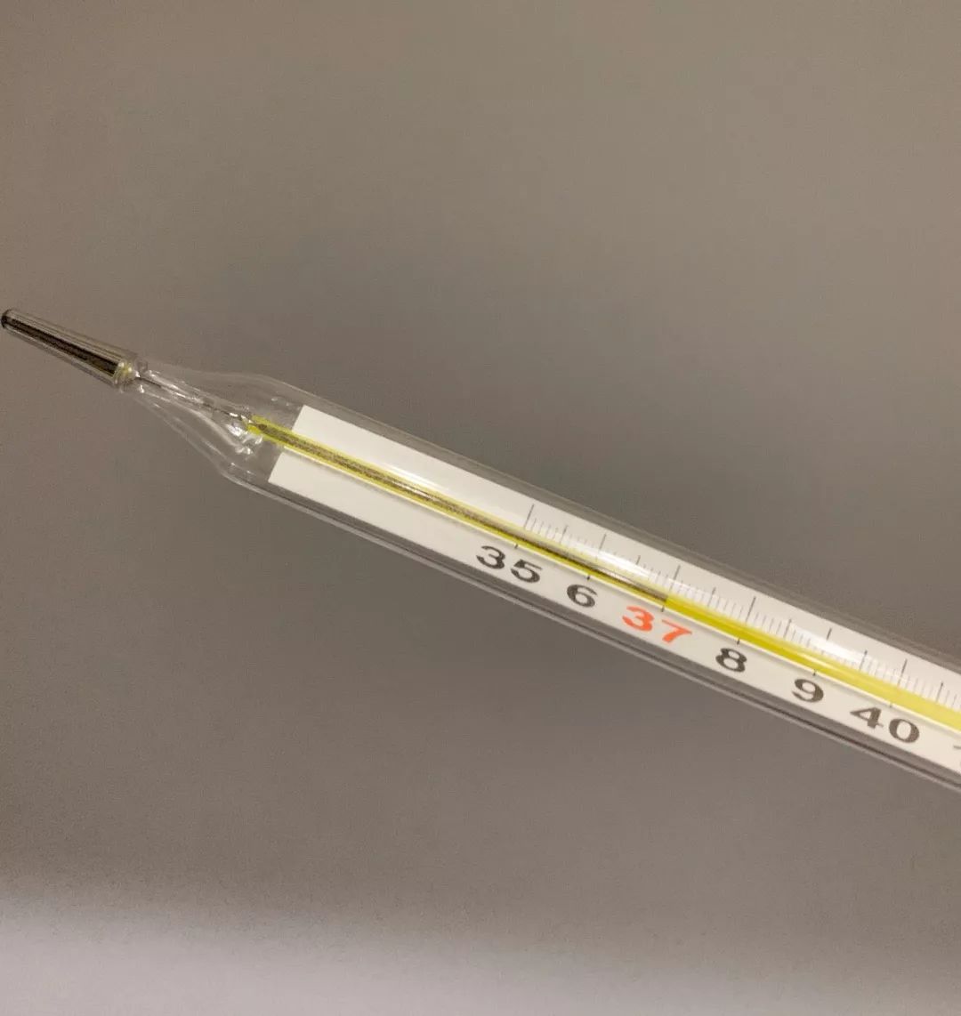 每天必用的体温计不知从何时开始,爸妈开始在微信中称呼我为"宝贝"了.