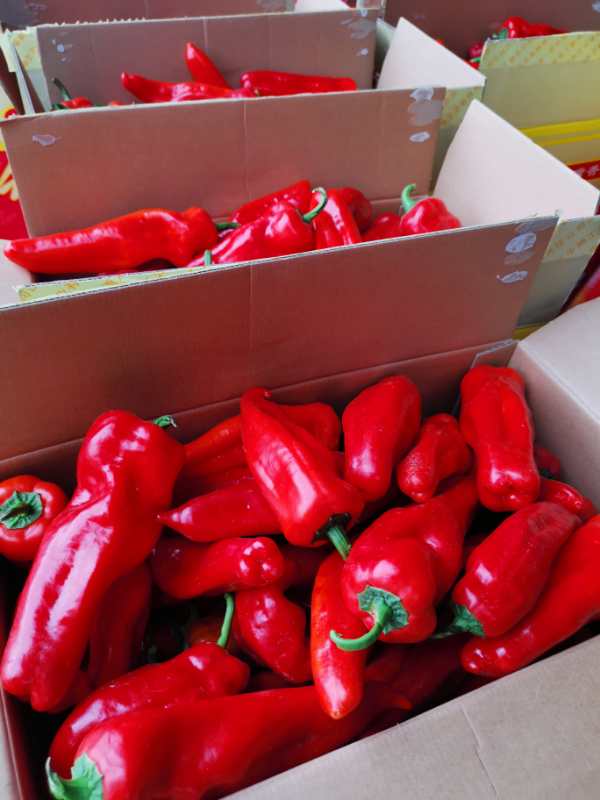 全国蔬菜之乡安徽和县企业家捐赠22吨辣椒驰援武汉