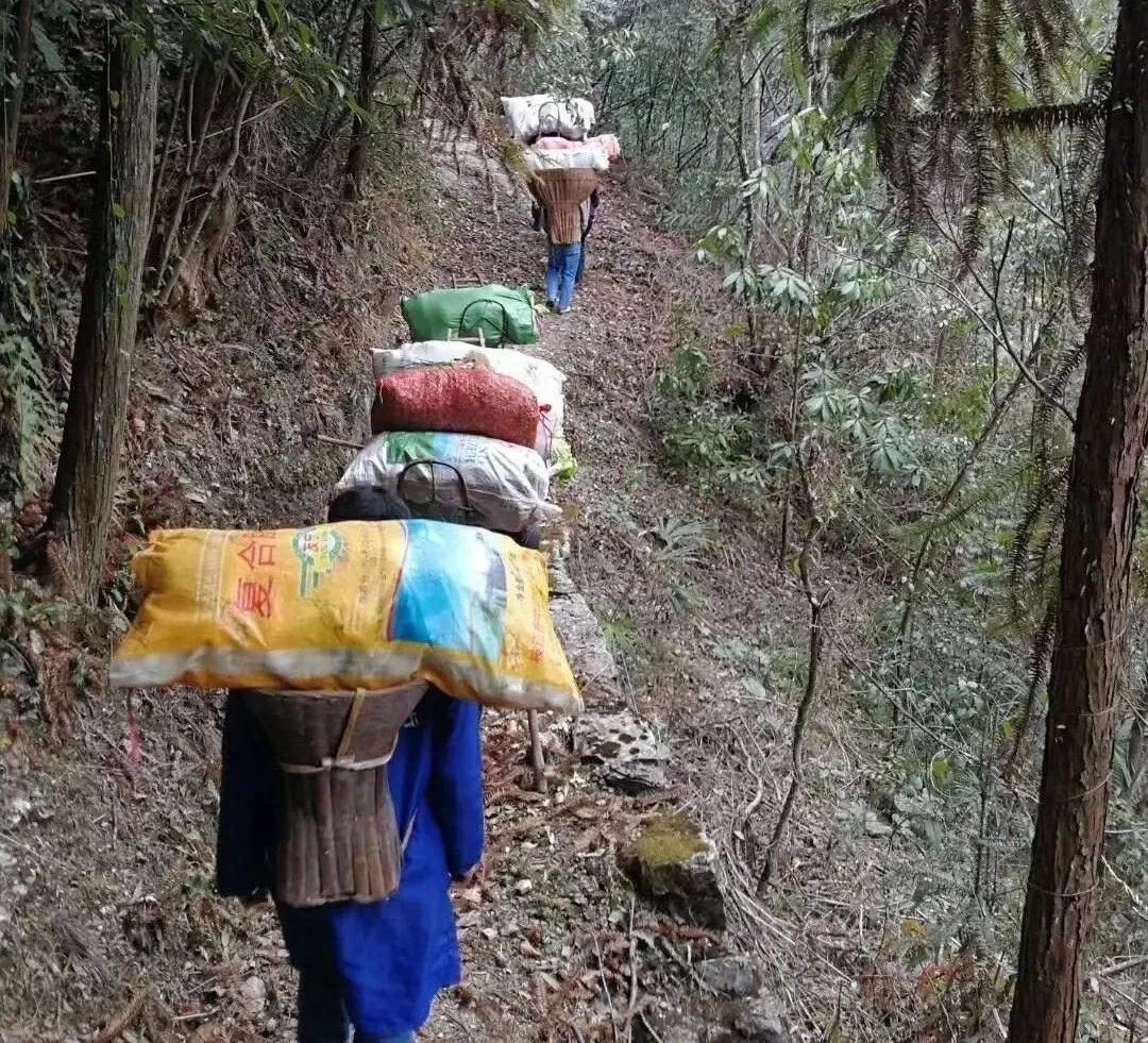 肩挑背驮他们从大山里凑了85吨物资送武汉还留下一句诗