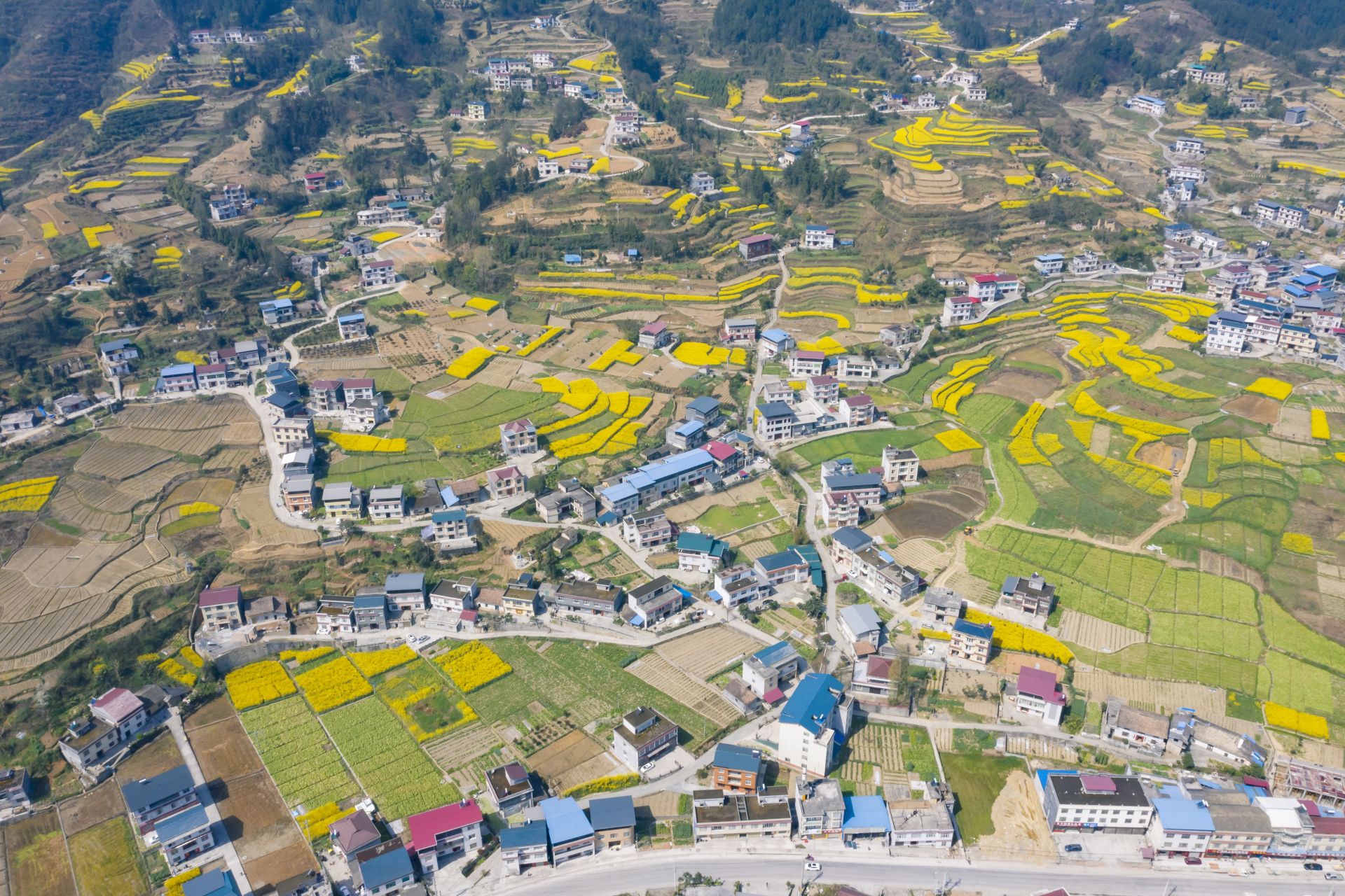 湖北建始碎尸案图片