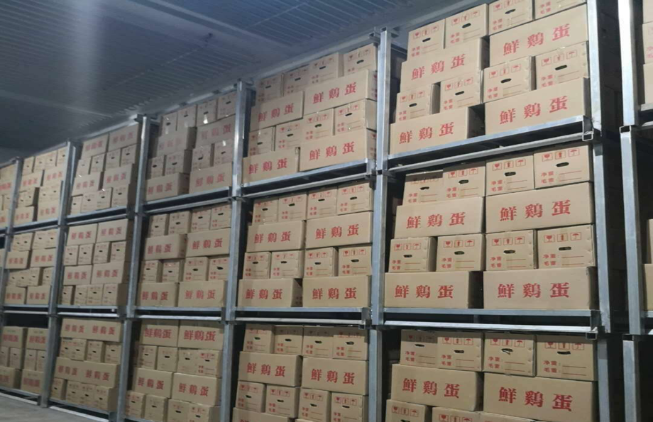 吉林市商贸公司：拥抱转型浪潮，助力商业繁荣