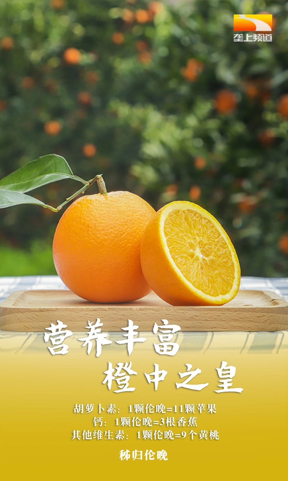 9张图带你认识大器"晚"橙的"橙中之皇"——秭归伦晚