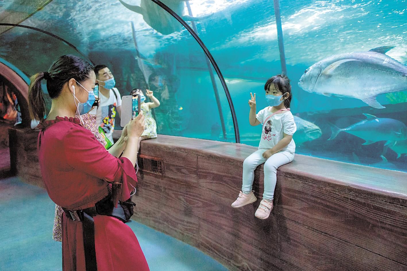 武汉东湖海洋世界恢复开放