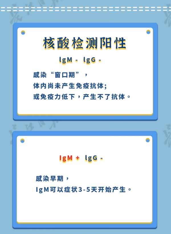 一图看懂核酸抗体检测化验单
