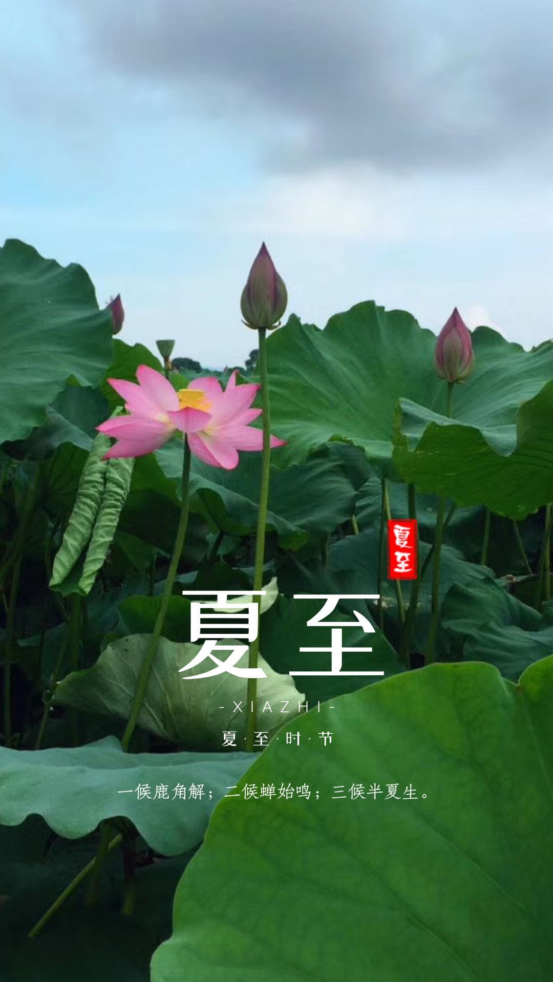 夏至微信图片