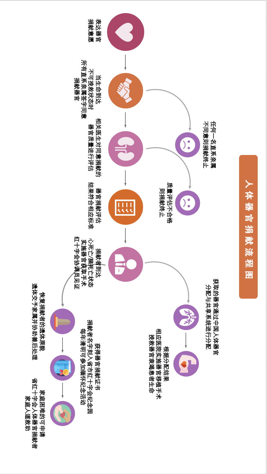 人體器官捐獻流程圖
