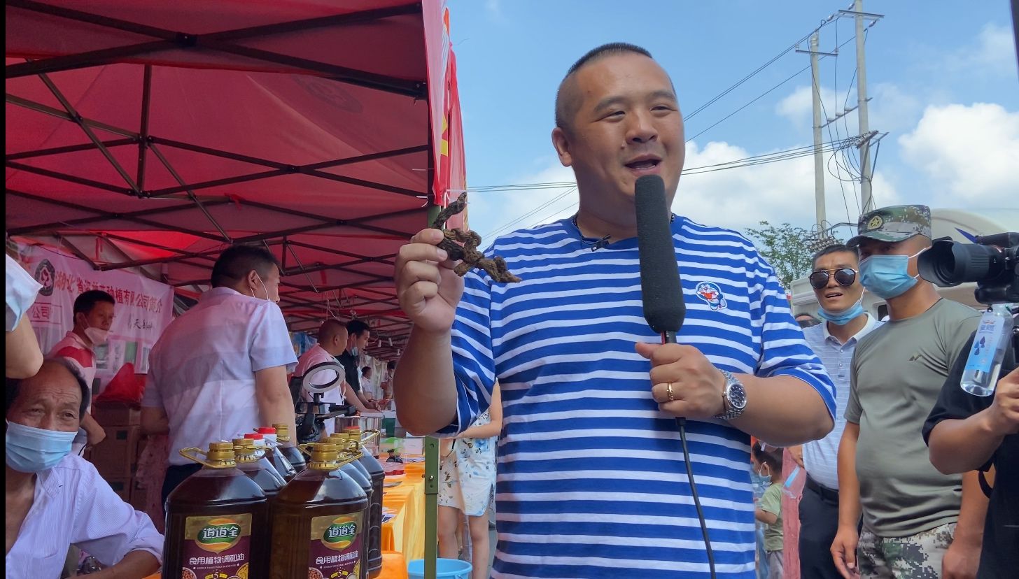 隽水河上龙舟竞弘扬民族文化提振通城精神
