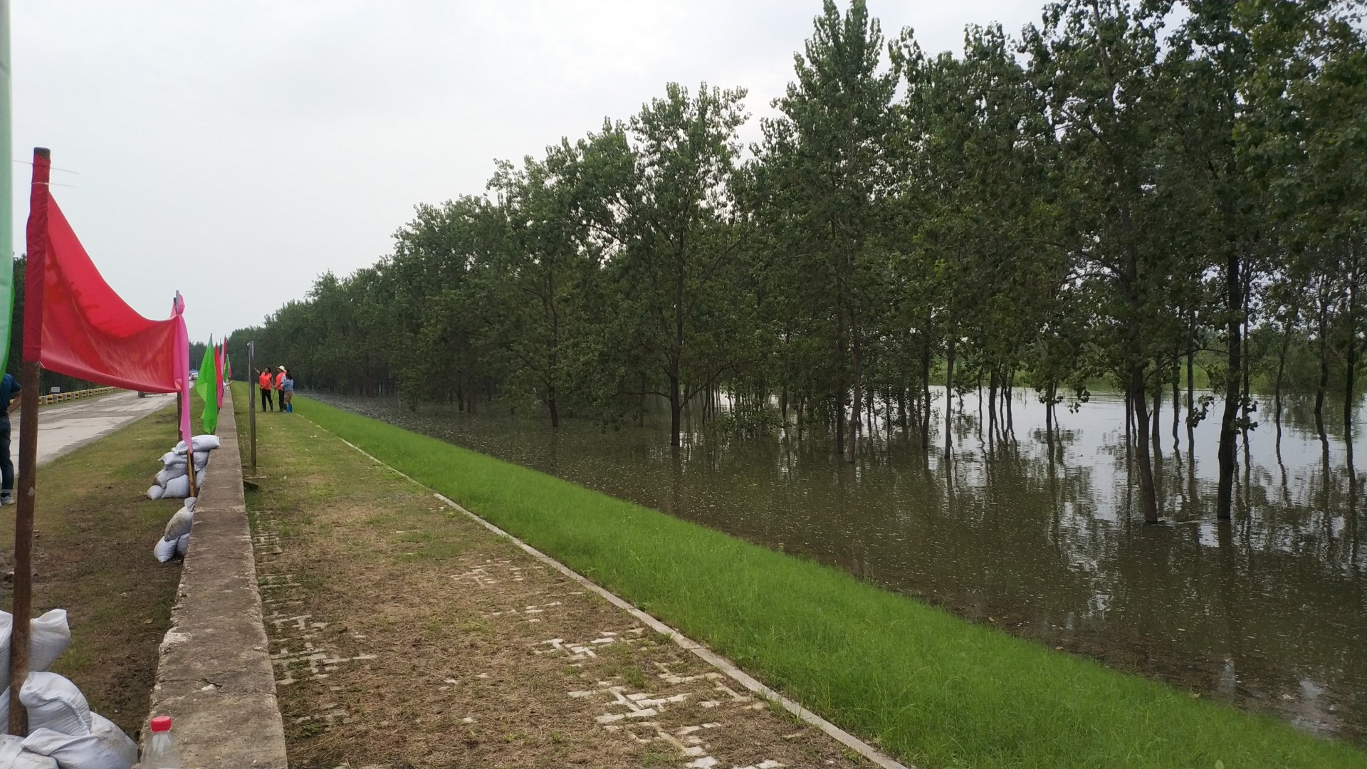 省农科院:防汛抢险在行动 24小时值守武金堤