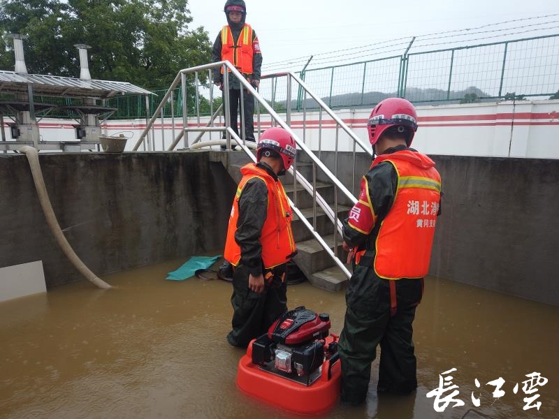 水月池解密|原神水月池怎么破译