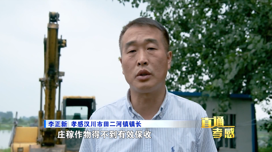 孝感汉川市田二河镇镇长 李正新:渠道两边有12000亩农田,如果(再)有50