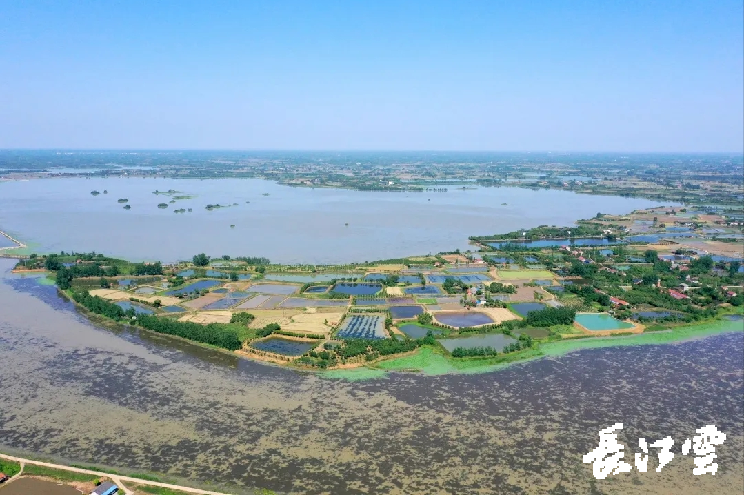 菱角湖国家湿地公园位于荆州市荆州区马山镇以北1.