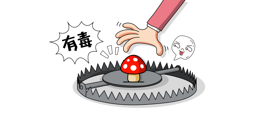 小姐妹们发现地上长满了各种野蘑菇,经过一片树林的时候,康