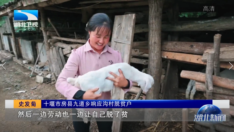 十堰市房县九道乡响应沟村脱贫户 史发菊:对,全凭双手,作为一个农村人