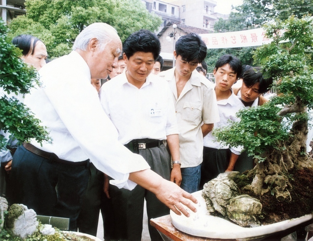 对节白蜡树种的发现者苏坯林教授,盆景大师贺淦荪等亲临公司现场指导