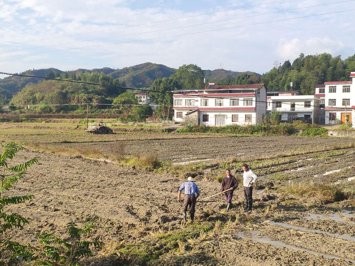 在五里镇,石南镇,北港镇,大坪乡,王功辉深入田间地头,实地检查秋冬播