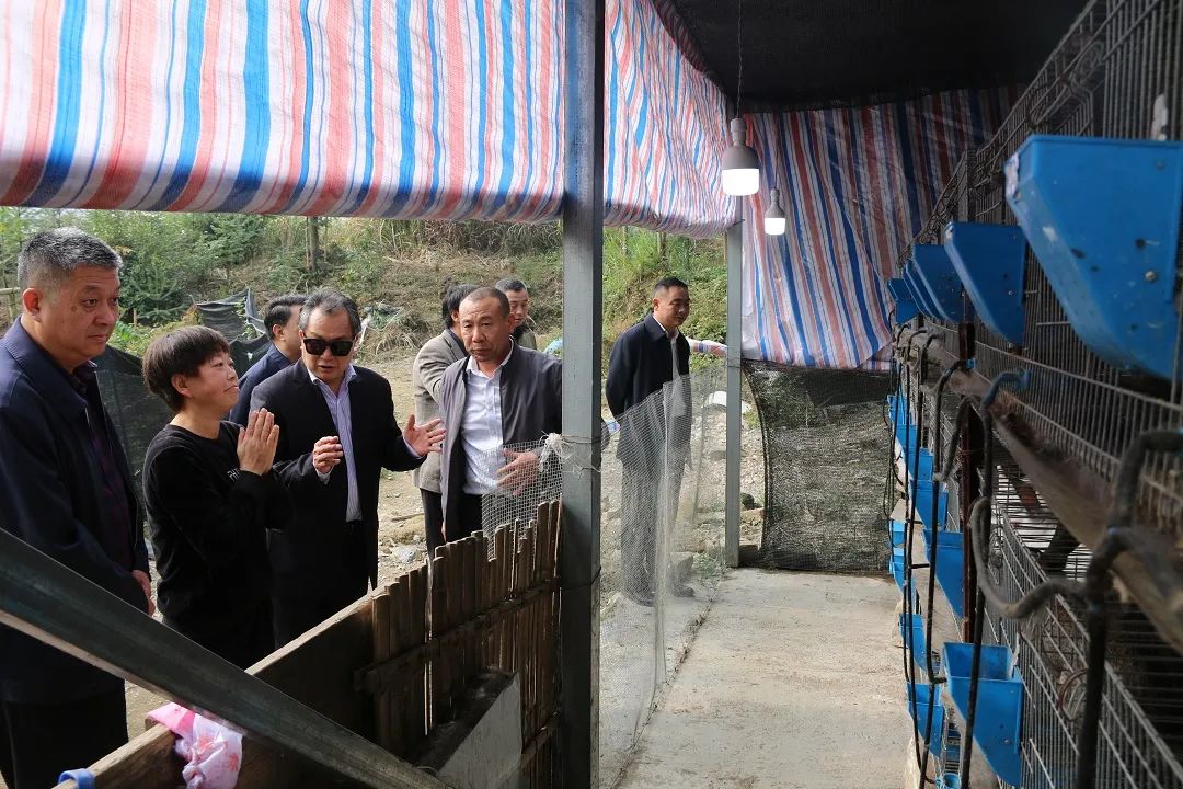 省市场监管局副局长詹永杰到孟垅村看变化