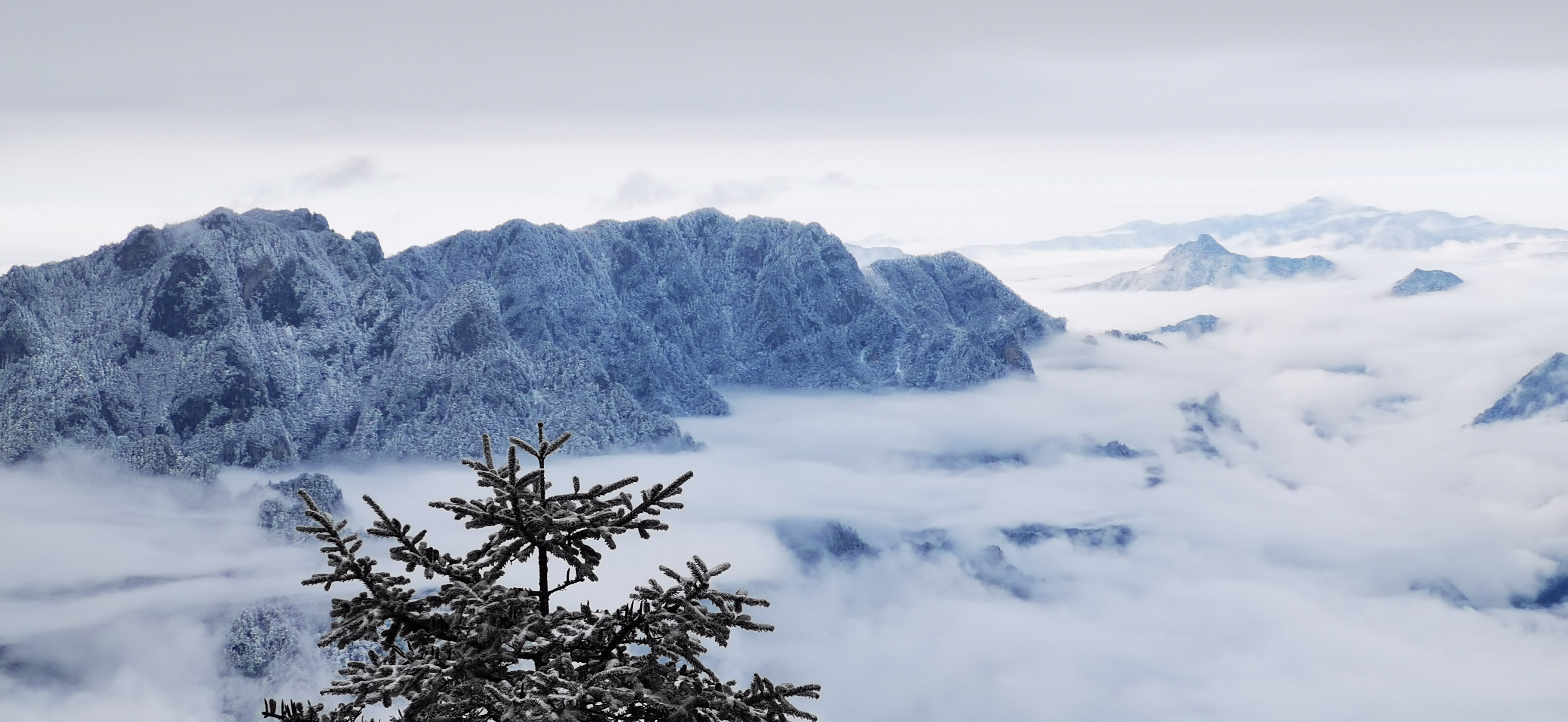神农顶雪景图片