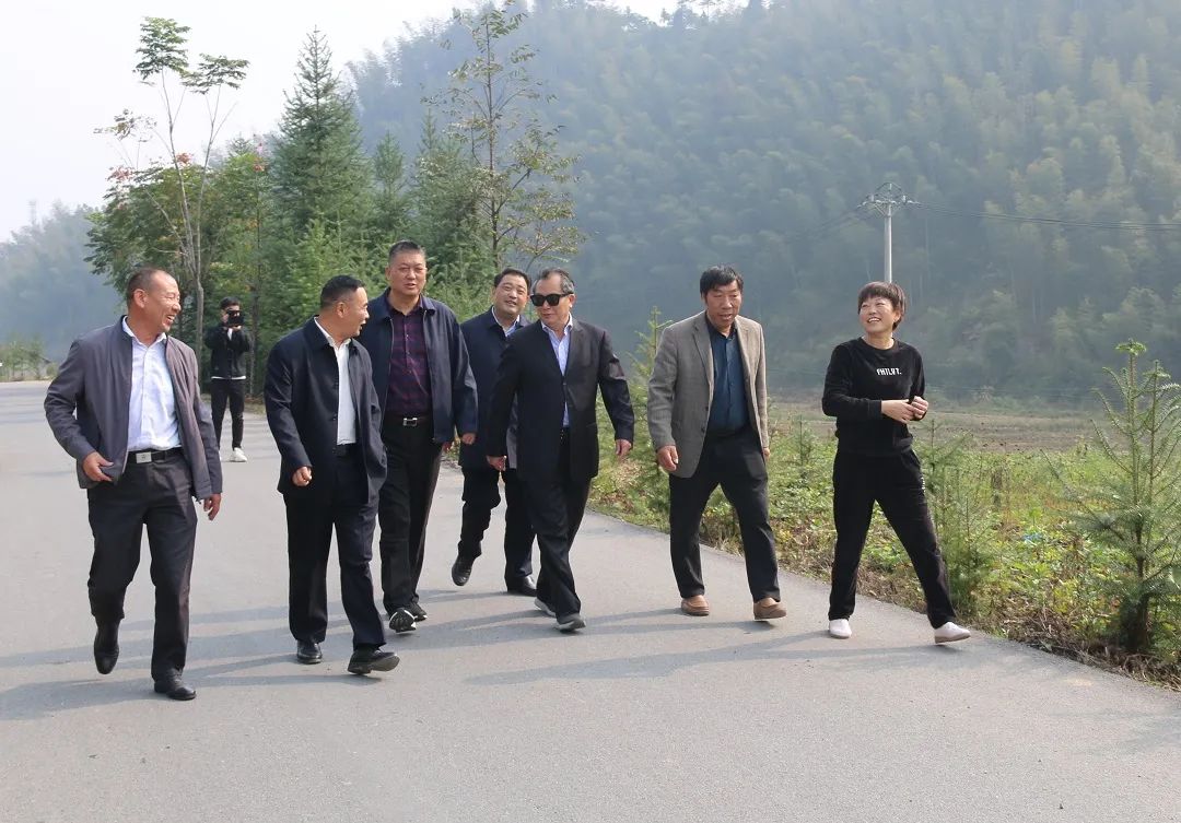 省市场监管局副局长詹永杰到孟垅村看变化