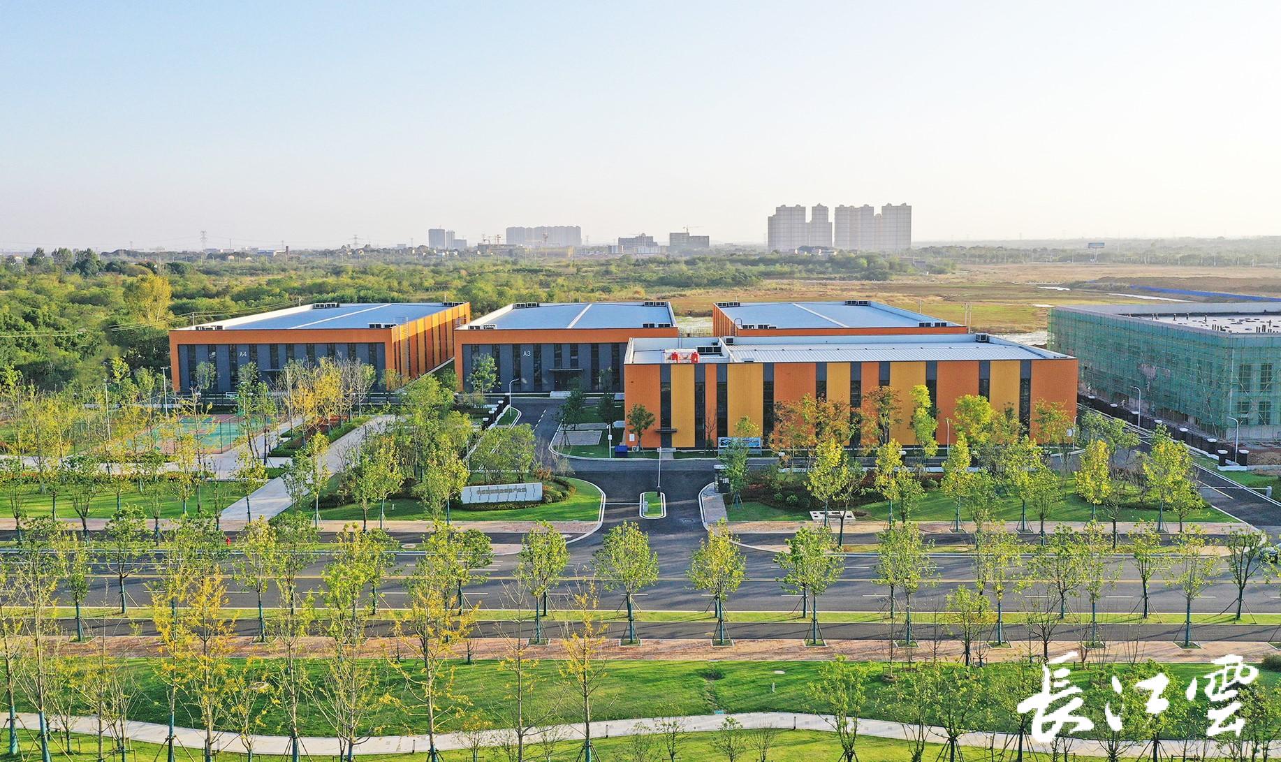 好消息,汉孝新城有了新发展!麦当劳将在湖北打造首个供应链智慧园区