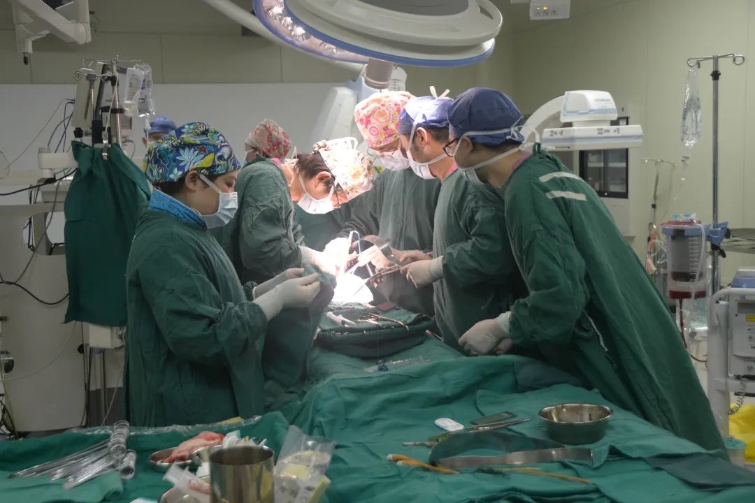 十年磨一剑!"光谷造"人工血管首次成功植入人体