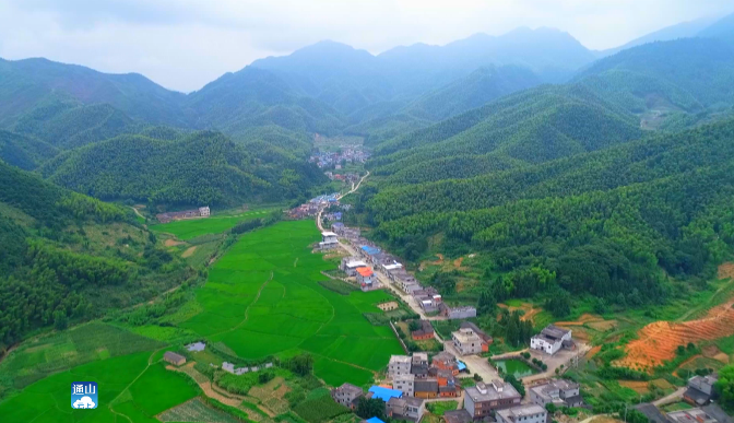 通山闯王镇坳坪村:打造心目中的"理想王国"