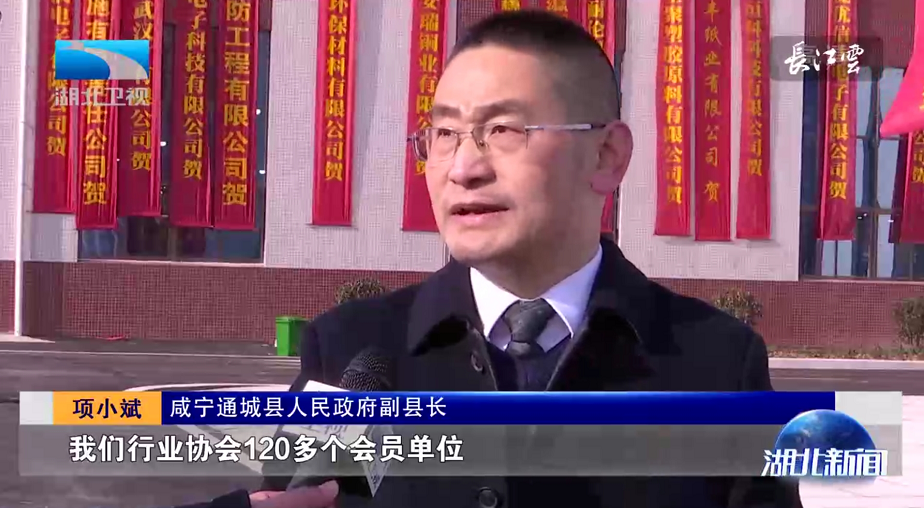 通城县人民政府副县长 项小斌:"开园的只有六家企业入住我们的孵化园