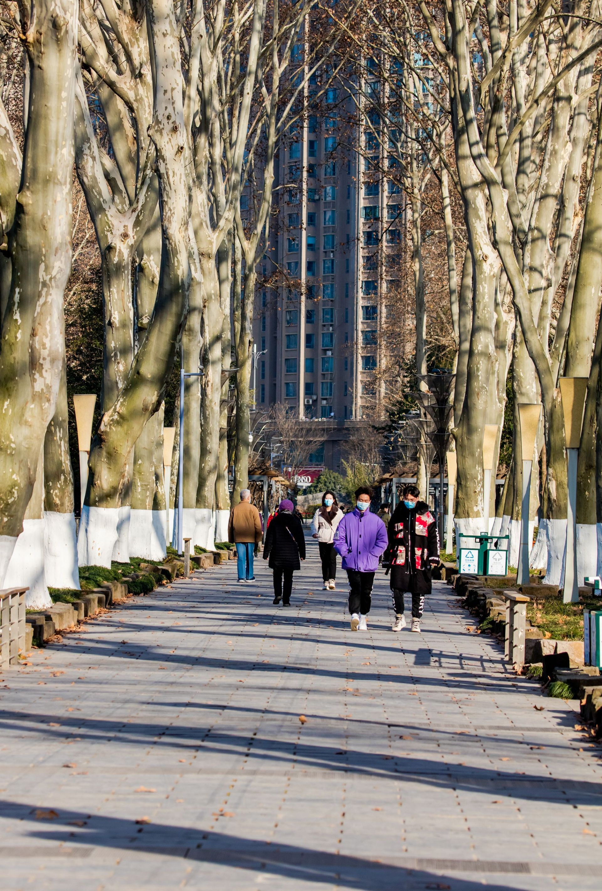 这样的武汉冬天太美组图