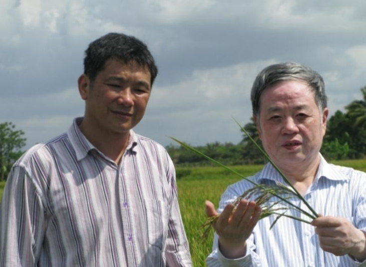 红莲型杂交稻荣归院士故里武汉大学中巴水稻研究中心罗田基地签约