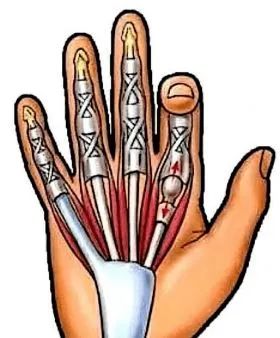 骨头咔咔响,到底啥毛病?专家从头到脚摸个门儿清