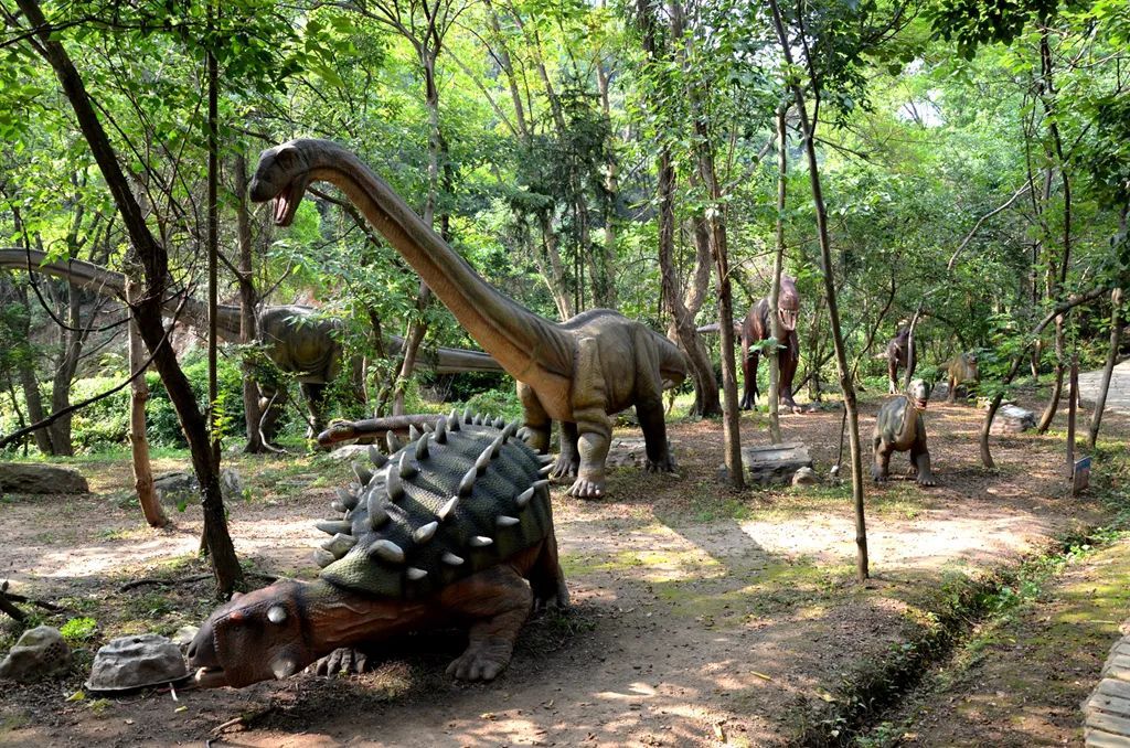 静待7天千亩杜鹃红遍云雾山