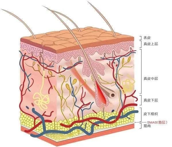 想要