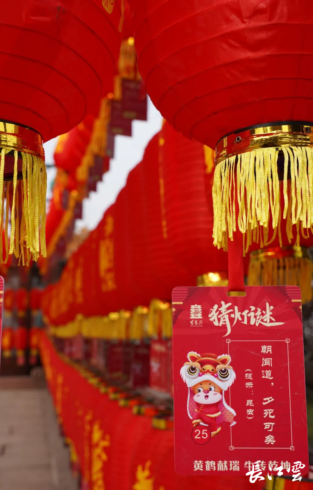 今年在武汉如何花式过年来看这份春节打卡清单