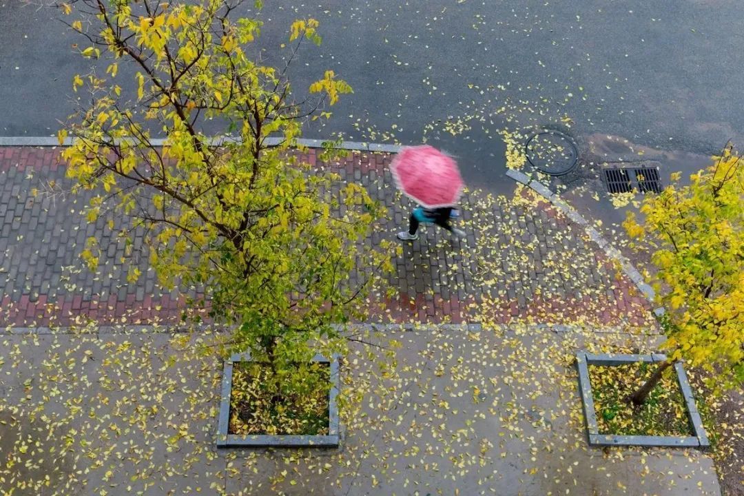 倒春寒?湖北未來三天降雨降溫 天氣變化劇烈