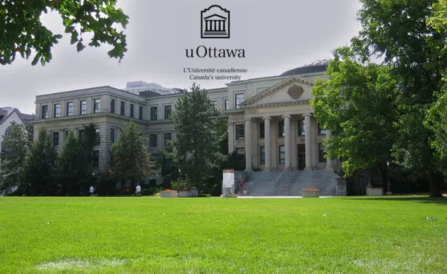 刘渊渟是加拿大渥太华大学商学院一名大二学生,渥太华大学是加拿大最