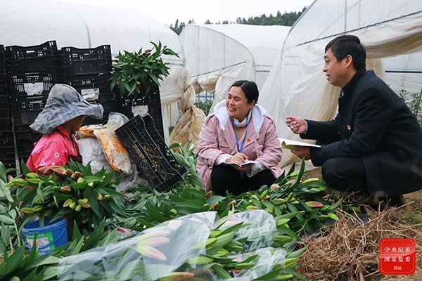 镜头一线监督踏上新征程