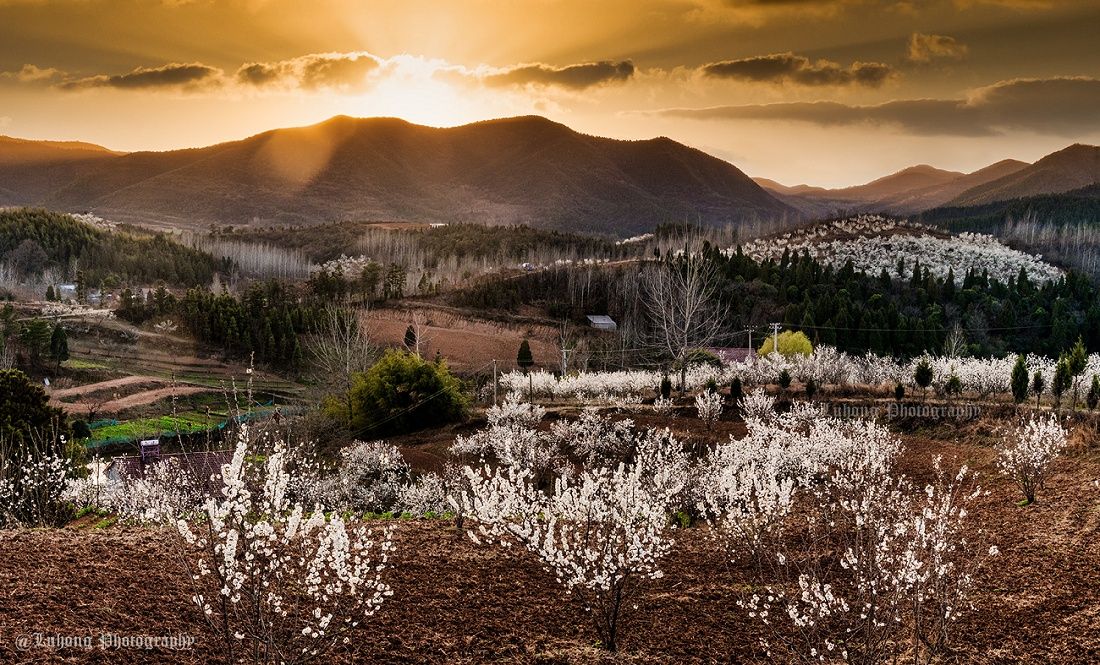 湖北南漳一起来赏满城花开感受春天的气息