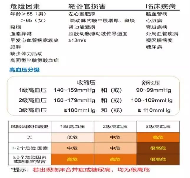 擊退血老虎-高血壓也能健康終老