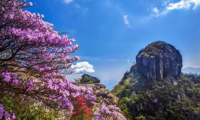 這個景點名叫桃花衝風景區,位於湖北省英山縣東北角,該景區如今已經被