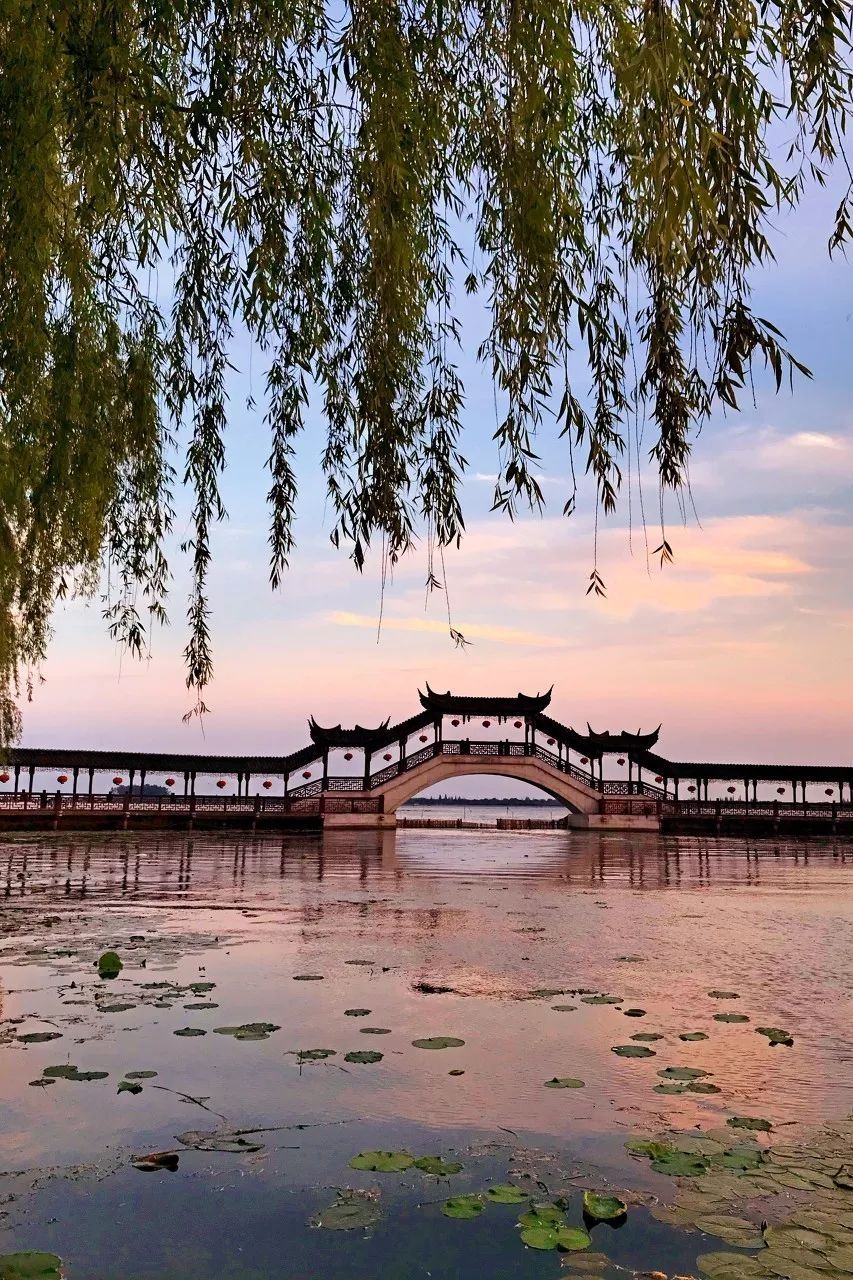 中国最富裕小县城竟是它左手苏州右手上海还藏了江南的绝色风景