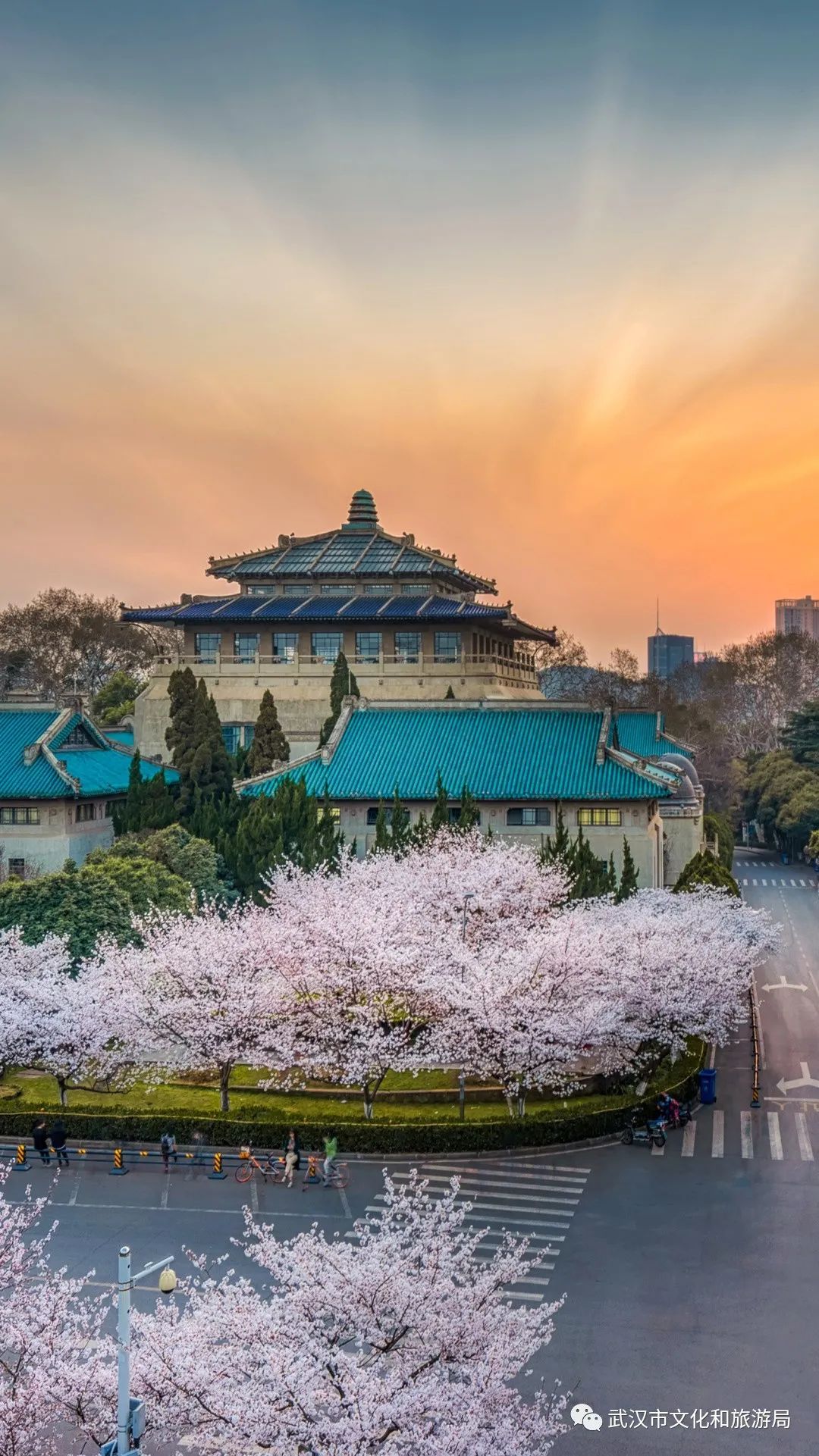 3月春暖,东湖边柳芽吐绿,蝶舞蜂飞时,樱花园就成了一片粉色海洋,微风