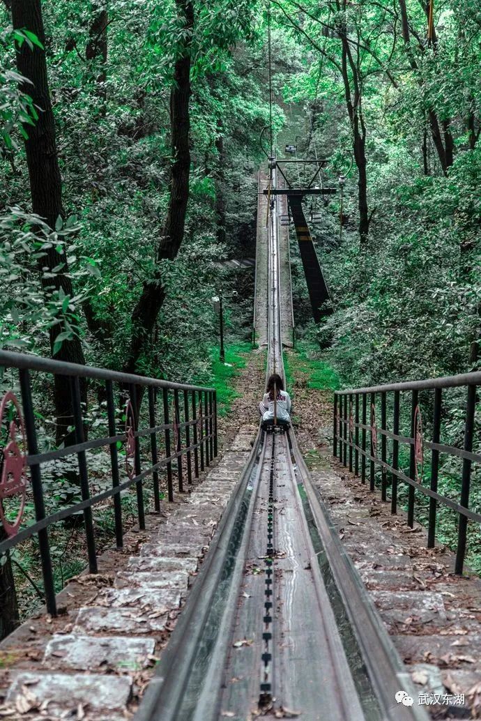滑道山间漂移距离樱园|步行19分钟上站:楚天台南侧起始点|下站:磨山