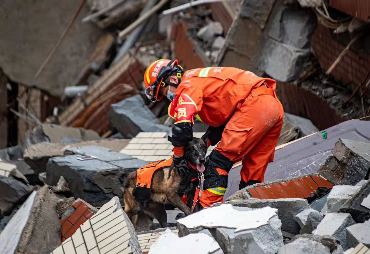 厉兵秣马谋打赢武汉消防开展跨区域地震救援实战演练