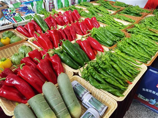 汉口这场展会,新品种蔬菜看到你眼花