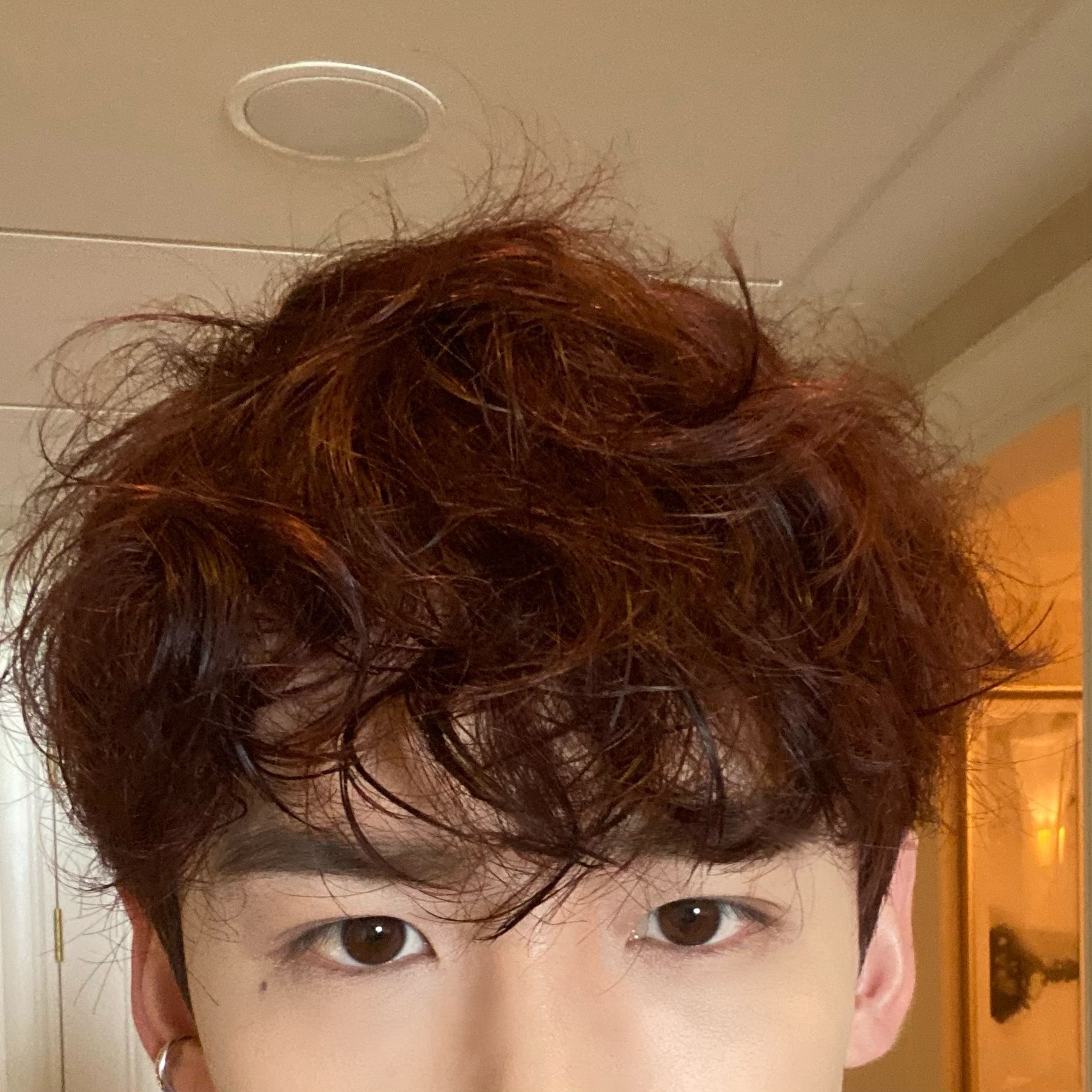 小卷毛白敬亭的烦恼