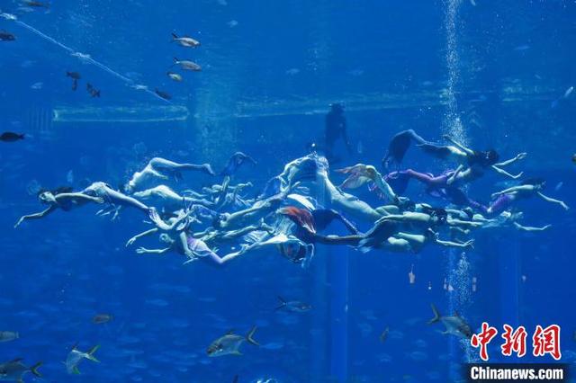 吉尼斯世界纪录 三亚110条"美人鱼"上演水下人鱼秀
