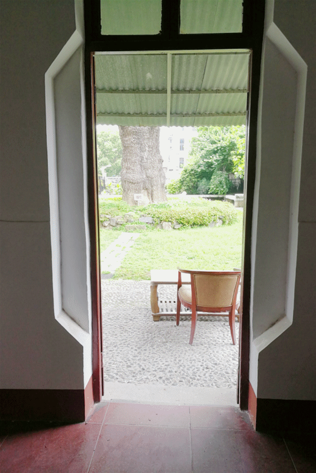 晴川历历汉阳树武汉这些宝藏树五一等你打卡